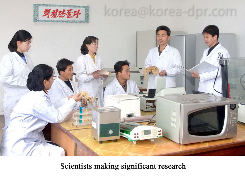 Illustration for article titled Meet North Korea's Bizarre English-Language Social Media Strike Force